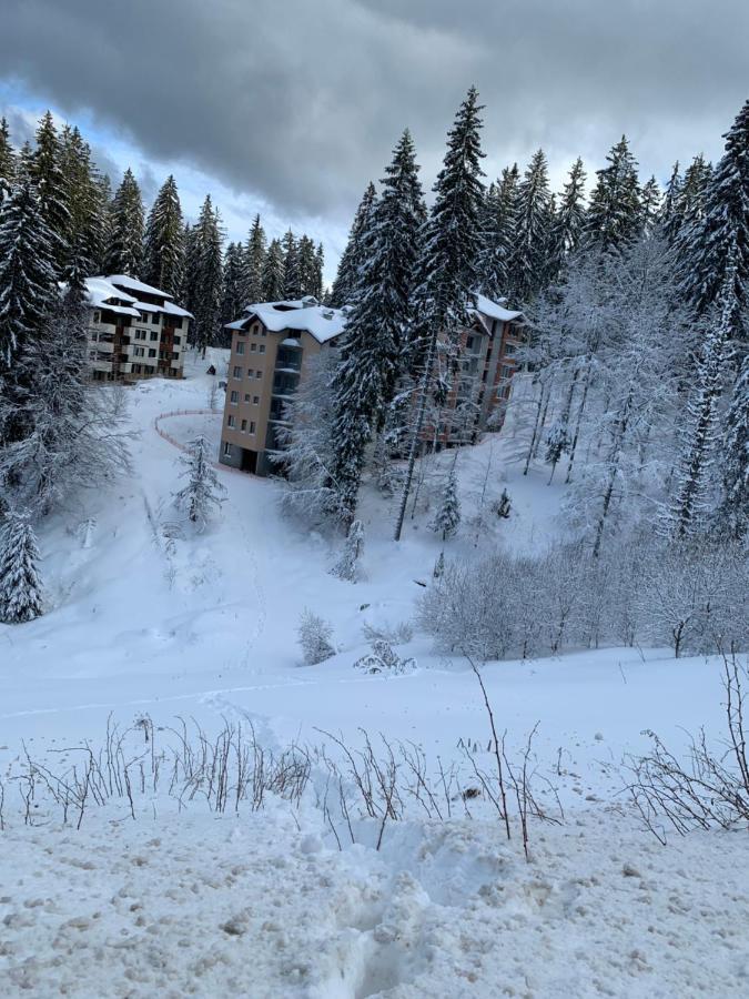 Evrika Home 4 Pamporovo Luaran gambar